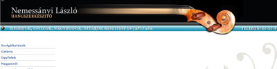 Musician website